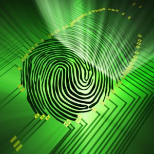 Live Scan Electronic Fingerprinting